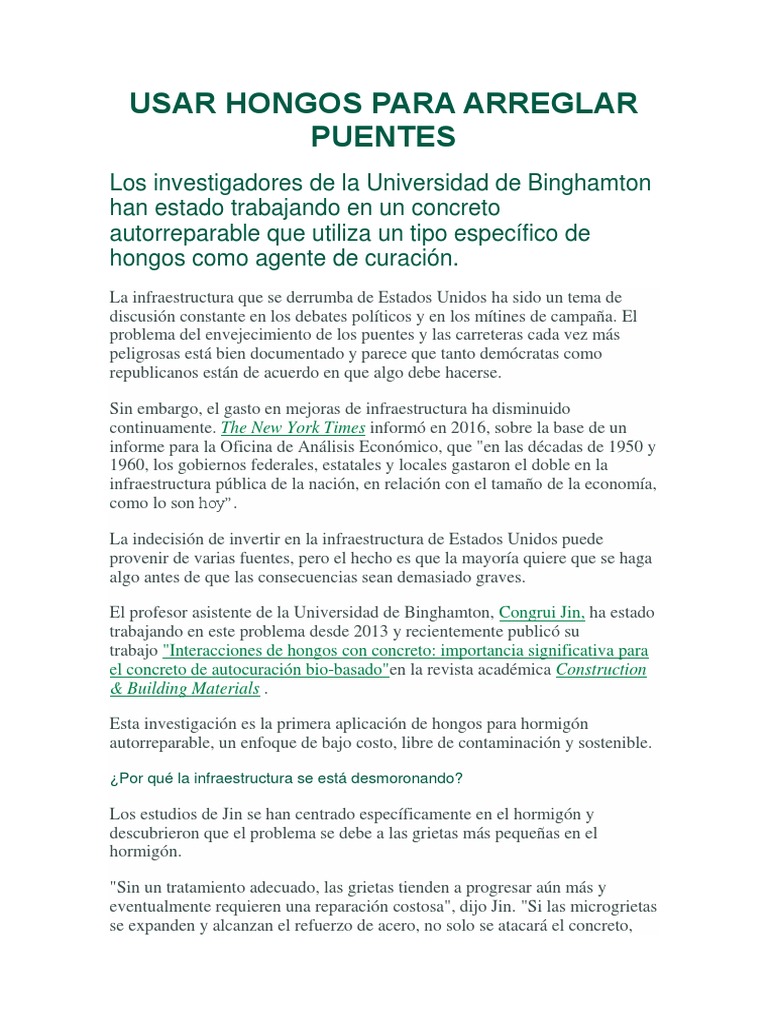 De hongos hi-res stock photography and images - Page 2 - Alamy, image size:768x1024