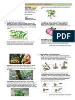 Reproduksi Vegetatif Angiospermae