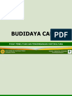 Budidaya Tanaman Cabai