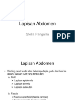 ABDOMEN LAYERS