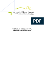 Programa de Gimnasia Laboral HSJ