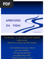 APRENDIZ DA VIDA