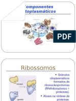 Componentes Citoplasmáticos