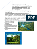 La Importancia de Las Áreas Protegidas y Reservas Naturales