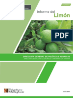 boletin-informe-limon.pdf