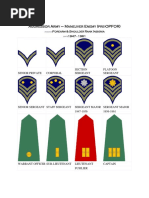 Norwich University Cadet Rank Structure | PDF | Computers | Technology ...