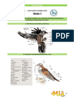 Aves 1 PDF