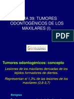 tumores odontogenicos.pdf