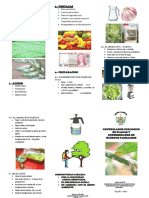 Triptico de Controlador Ecologico de Plagas y Enfermedades de Huertos Familiares - 2014