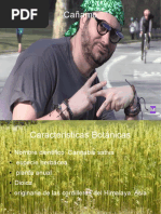 Marihuana a Aaaaaaaaaaaa