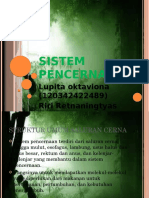 Sistem Pencernaan