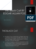 Black Cat (Summary)