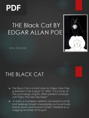 black cat (summary)