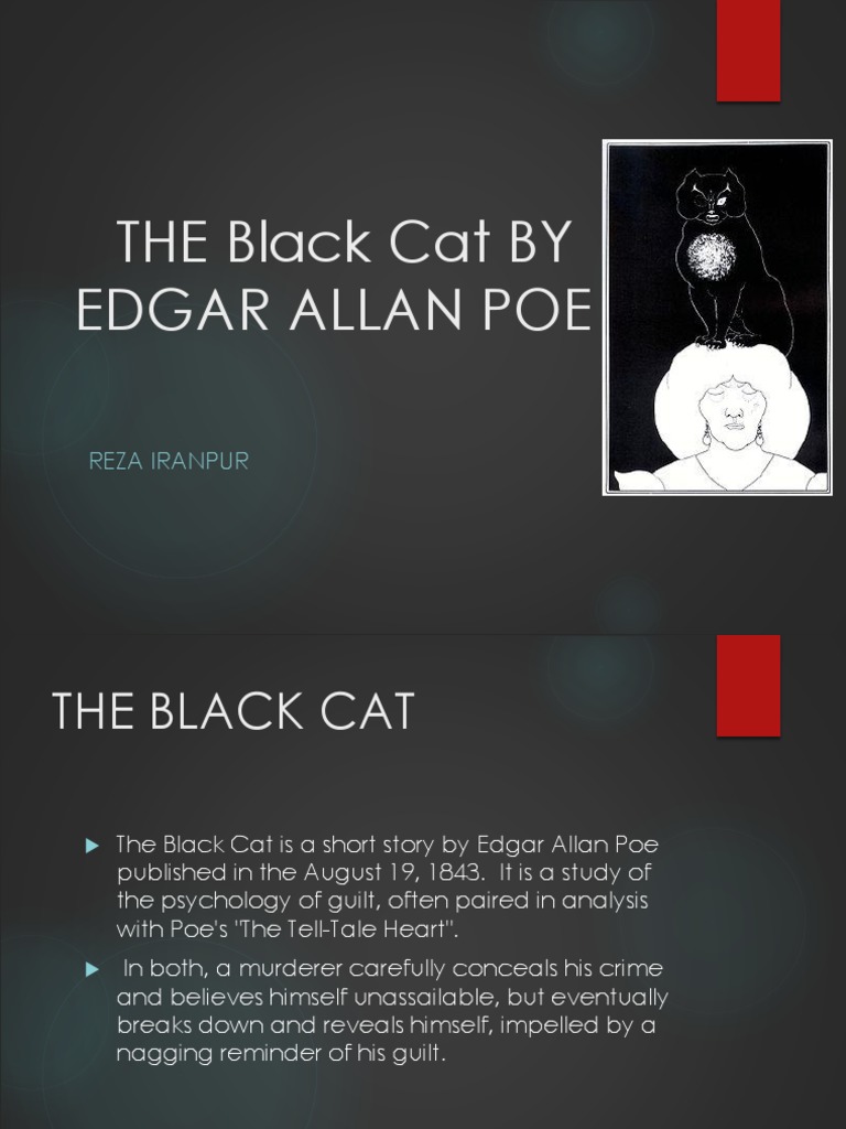 Black Cat (Summary) PDF