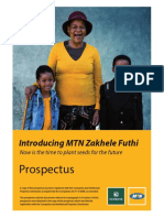 MTN Prospectus