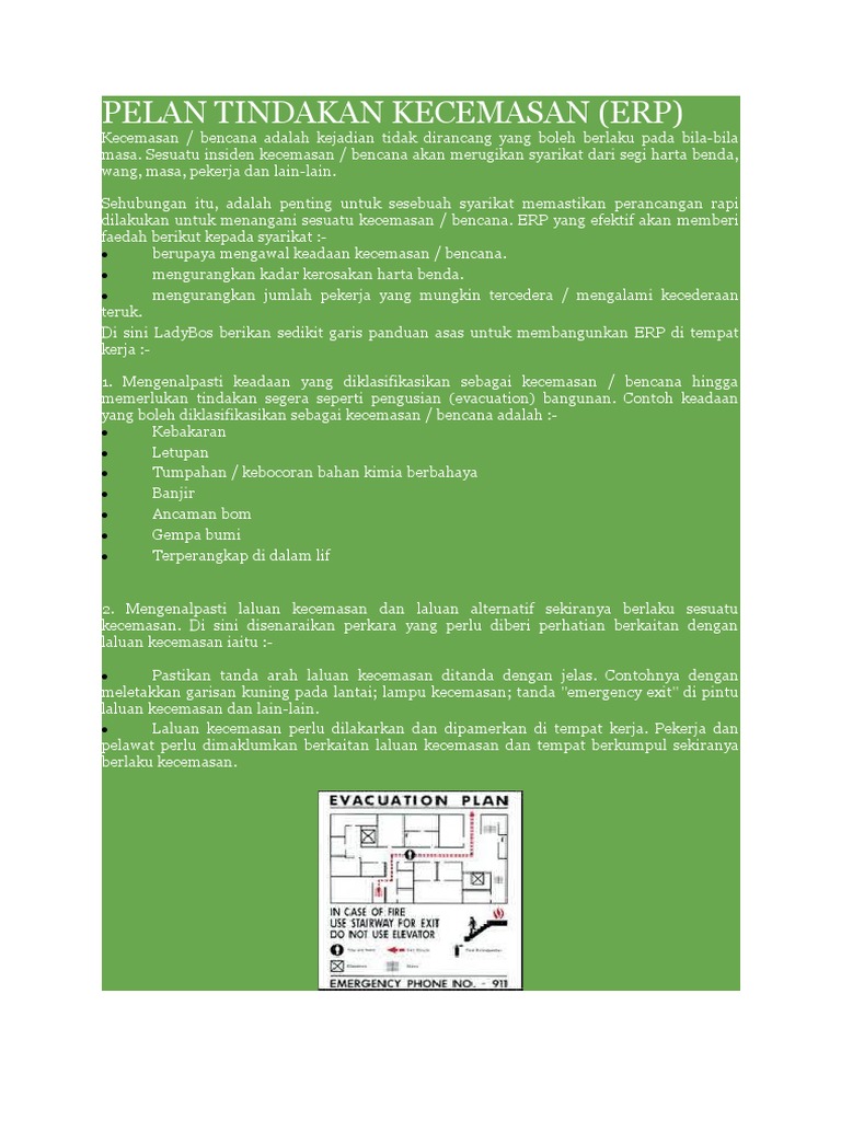 Pelan Tindakan Kecemasan  PDF
