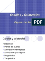 Canales y Colaterales (1)