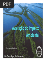 05 Impctos Ambientais.pdf