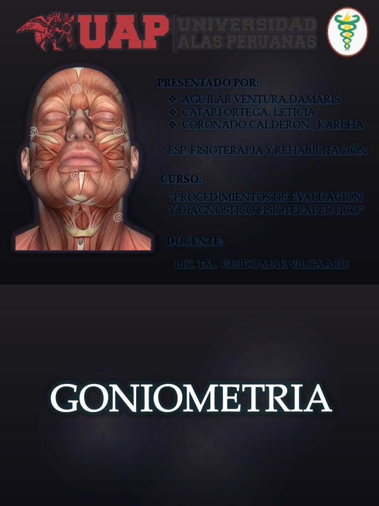 Extension y Flexion de Cabeza y Cuello 1 PDF La columna vertebral