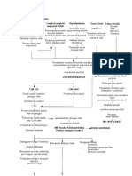 LP Patofisiologi Cva-Ich