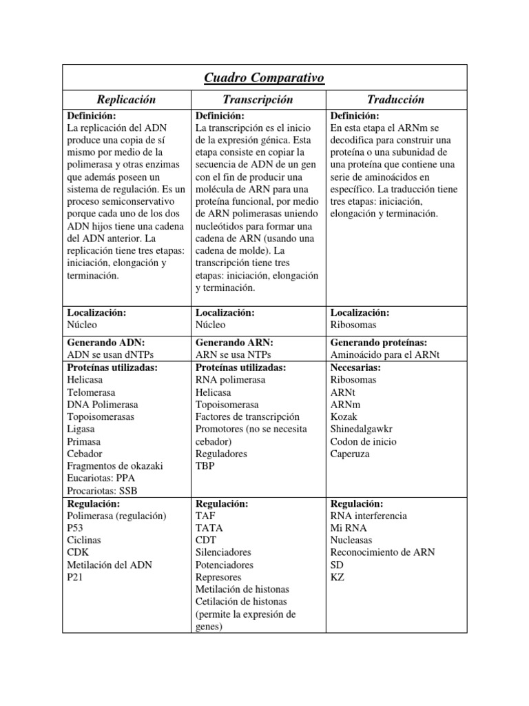 Essay spanish slang image