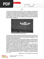 CN8 Teste 6 ASa.docx