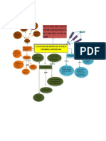 La Evaluacion Dentro Del Proceso Enseñanza-Aprendizaje