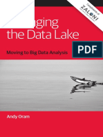 Managing the Data Lake