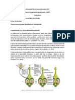 Doble Fecundación