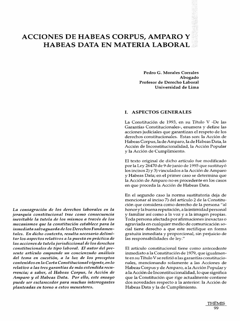 Amparo | Descargar gratis PDF | Habeas corpus | Derecho Constitucional