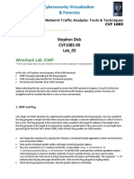 Icmp Within The Dns Cache