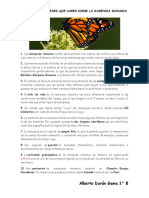 Mariposa Monarca, 10 Cosas Que Debes Saber