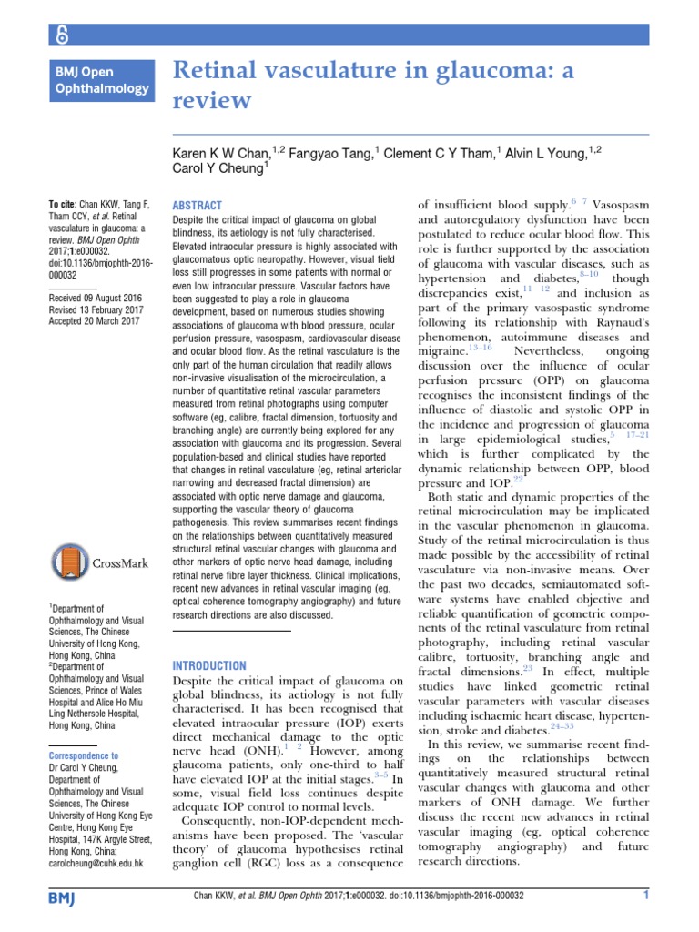 Bmjophth 2016 000032 | PDF | Glaucoma | Retina