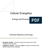 Energy and Enzymes II