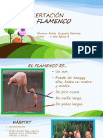disertacion flamenco.pptx