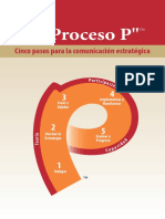 P Process Brochure Spanish