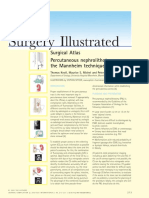 Atlas PCNL