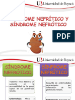 Diferencias Entre SX Nefritico y Nefrotico