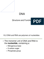 dna structure and function ii