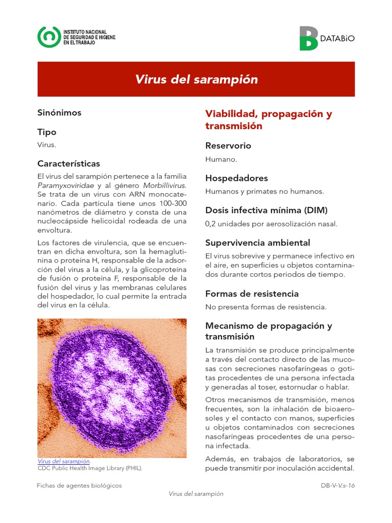 Virus Del Sarampion 2017 Sarampión Virus Prueba Gratuita De 30