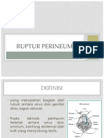 Ruptur Perineum