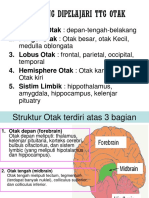 8gpertemuan 4 Otak Manusia