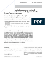 Inflammsome PDF