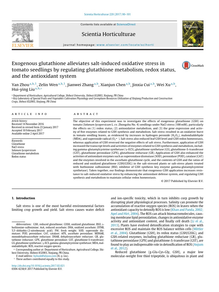 Claudio H | PDF | Glutathione | Reactive Oxygen Species