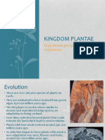 Kingdom Plantae