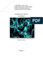 Apostila de Anatomia II - NERVOSO - Neuroanatomia - Sistema Nervoso PDF