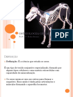 OSTEOLOGIA.pdf