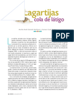 Lagartijas.pdf