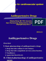 Antihypertensive Drugs: Pharmacology For Cardiovascular System