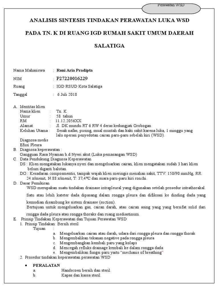 Ansin WSD | PDF | Sains & Matematika
